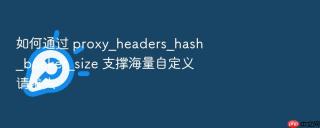 如何通过 proxy_headers_hash_bucket_size 支撑海量自定义请求头