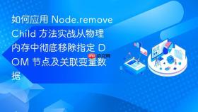 如何应用 node.removechild 方法实战从物理内存中彻底移除指定 dom 节点及关联变量数据
