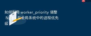 如何利用 worker_priority 调整 nginx 在全局系统中的进程优先级