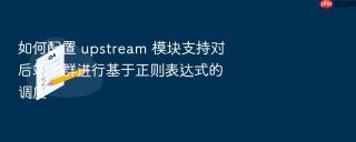 如何配置 upstream 模块支持对后端集群进行基于正则表达式的调度