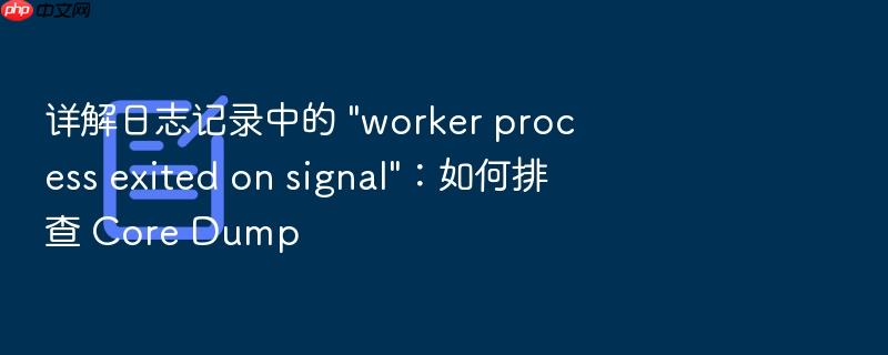 详解日志记录中的 \
