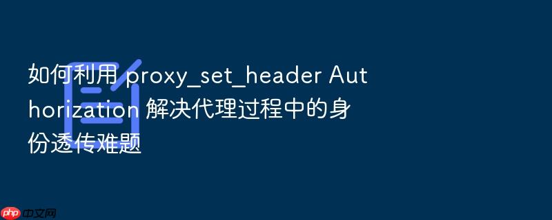 如何利用 proxy_set_header authorization 解决代理过程中的身份透传难题