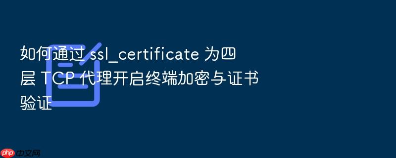 如何通过 ssl_certificate 为四层 tcp 代理开启终端加密与证书验证