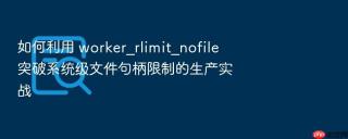 如何利用 worker_rlimit_nofile 突破系统级文件句柄限制的生产实战