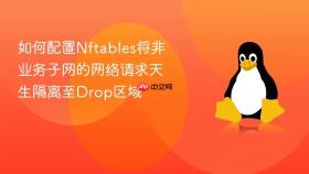 如何配置nftables将非业务子网的网络请求天生隔离至drop区域