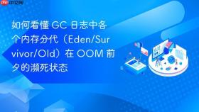 如何看懂 gc 日志中各个内存分代(eden/survivor/old)在 oom 前夕的濒死状态