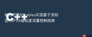 如何利用Nftables实现基于流标签的IPV6细粒度流量控制指南