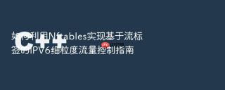 如何利用nftables实现基于流标签的ipv6细粒度流量控制指南