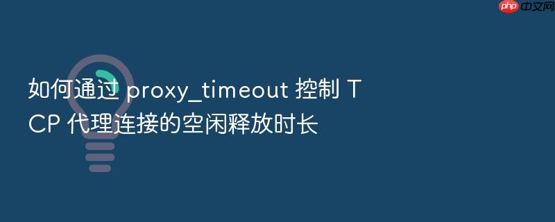 如何通过 proxy_timeout 控制 tcp 代理连接的空闲释放时长