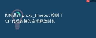 如何通过 proxy_timeout 控制 tcp 代理连接的空闲释放时长