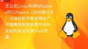 怎么在linux利用nftables的oifname(出站接口名)过滤机制完美封锁生产环境微服务容器意外向外发起的非法反弹shell流量