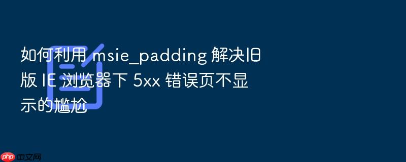 如何利用 msie_padding 解决旧版 ie 浏览器下 5xx 错误页不显示的尴尬