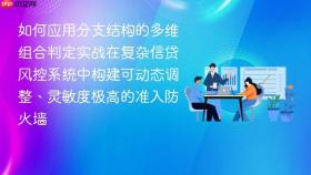 如何应用分支结构的多维组合判定实战在复杂信贷风控系统中构建可动态调整、灵敏度极高的准入防火墙