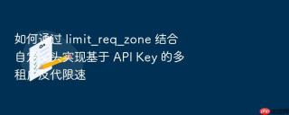 如何通过 limit_req_zone 结合自定义头实现基于 api key 的多租户反代限速