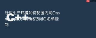 针对生产环境如何配置内网Dnsmasq服务的网络访问白名单控制