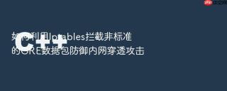如何利用iptables拦截非标准的gre数据包防御内网穿透攻击