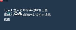 Inject 注入后如何手动触发上层更新？利用回调函数实现逆向通信指南
