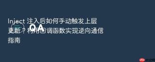 inject 注入后如何手动触发上层更新？利用回调函数实现逆向通信指南