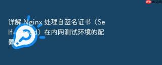 详解 nginx 处理自签名证书(self-signed)在内网测试环境的配置