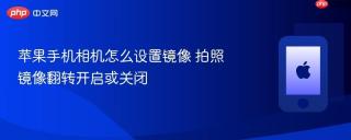 苹果手机相机怎么设置镜像 拍照镜像翻转开启或关闭