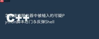 怎么排查服务器中被植入的可疑Python脚本后门与反弹Shell