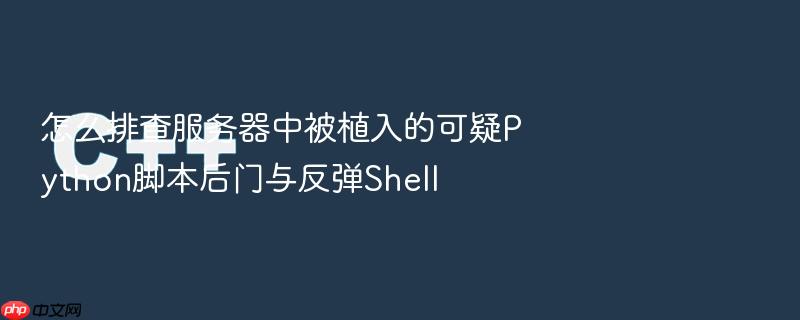 怎么排查服务器中被植入的可疑python脚本后门与反弹shell