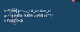 如何通过 proxy_ssl_session_reuse 提升反向代理到大规模 https 后端的效率