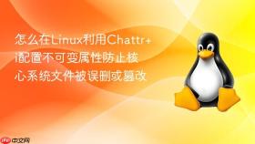 怎么在linux利用chattr+i配置不可变属性防止核心系统文件被误删或篡改