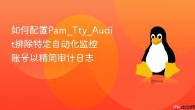 如何配置pam_tty_audit排除特定自动化监控账号以精简审计日志