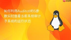 如何利用auditctl的s参数实时查看当前系统审计子系统的运行状态