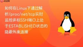 如何在linux下通过解析/proc/net/tcp实时监控非标ssh端口上处于established状态的隐蔽外来连接