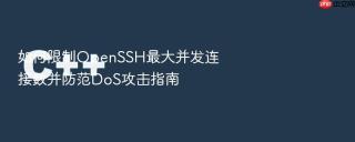 如何限制OpenSSH最大并发连接数并防范DoS攻击指南