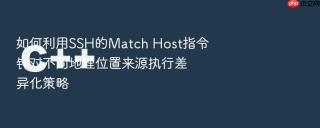 如何利用SSH的Match Host指令针对不同地理位置来源执行差异化策略