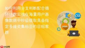 如何利用分支判断配合循环计数实战在海量用户画像数据中秒级提取具备指定多维交集标签的目标客群