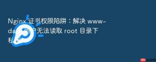 nginx 证书权限陷阱：解决 www-data 用户无法读取 root 目录下私钥