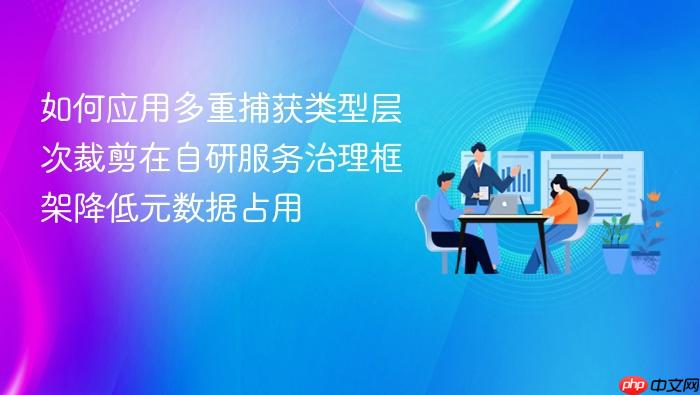 如何应用多重捕获类型层次裁剪在自研服务治理框架降低元数据占用