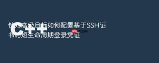 针对高级目标如何配置基于SSH证书的短生命周期登录凭证