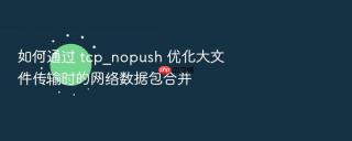 如何通过 tcp_nopush 优化大文件传输时的网络数据包合并