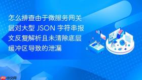 怎么排查由于微服务网关层对大型 json 字符串报文反复解析且未清除底层缓冲区导致的泄漏