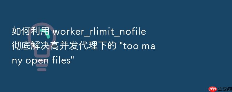 如何利用 worker_rlimit_nofile 彻底解决高并发代理下的 \