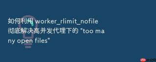 如何利用 worker_rlimit_nofile 彻底解决高并发代理下的 \