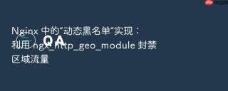 Nginx 中的“动态黑名单”实现：利用 ngx_http_geo_module 封禁区域流量