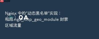 nginx 中的“动态黑名单”实现:利用 ngx_http_geo_module 封禁区域流量
