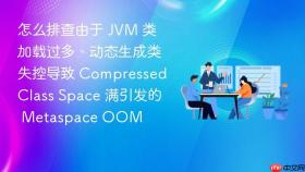怎么排查由于 jvm 类加载过多、动态生成类失控导致 compressed class space 满引发的 metaspace oom