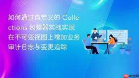 如何通过自定义的 collections 包装器实战实现在不可变视图上增加业务审计日志与变更追踪