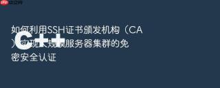 如何利用ssh证书颁发机构（ca）实现大规模服务器集群的免密安全认证