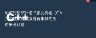 如何利用SSH证书颁发机构（CA）实现大规模服务器集群的免密安全认证