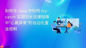如何在 java 中利用 try-catch 实现对长连接链路中“心跳异常”的自动化重连控制