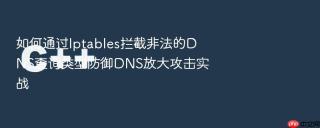 如何通过Iptables拦截非法的DNS查询类型防御DNS放大攻击实战