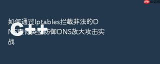 如何通过iptables拦截非法的dns查询类型防御dns放大攻击实战